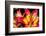 Tiger Lily Flowers-null-Framed Photographic Print