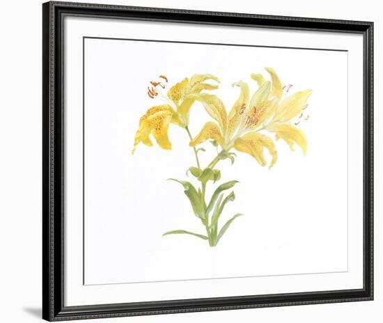 Tiger Lily-Carol Ann Bolt-Framed Collectable Print