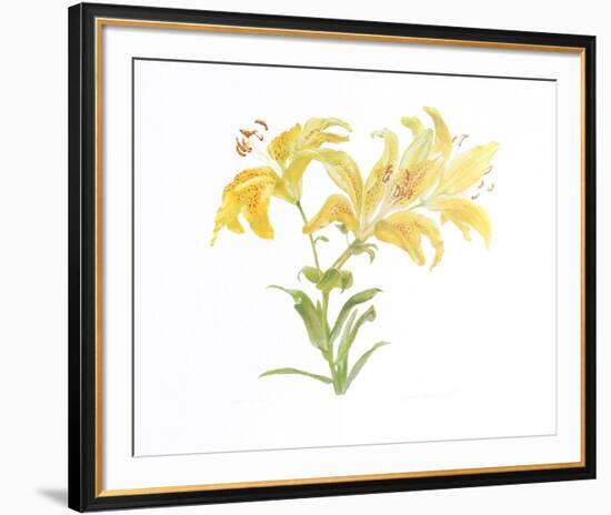 Tiger Lily-Carol Ann Bolt-Framed Collectable Print