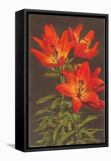 Tiger Lily-null-Framed Stretched Canvas