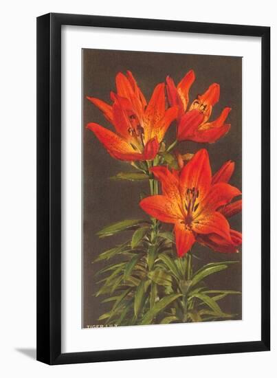 Tiger Lily-null-Framed Art Print