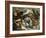 Tiger, Lion and Leopard Hunt, 1616-Peter Paul Rubens-Framed Giclee Print