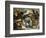 Tiger, Lion and Leopard Hunt, 1616-Peter Paul Rubens-Framed Giclee Print