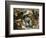 Tiger, Lion and Leopard Hunt, 1616-Peter Paul Rubens-Framed Giclee Print