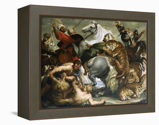 Tiger, Lion and Leopard Hunt, 1616-Peter Paul Rubens-Framed Premier Image Canvas