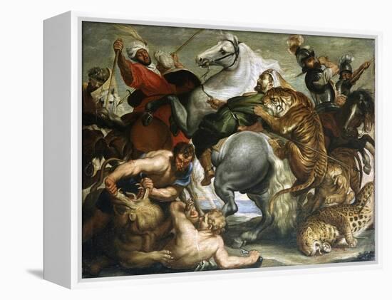 Tiger, Lion and Leopard Hunt, 1616-Peter Paul Rubens-Framed Premier Image Canvas