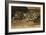 Tiger Lying Down; Tigre Couche, 1858-Eugene Delacroix-Framed Giclee Print