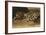 Tiger Lying Down; Tigre Couche, 1858-Eugene Delacroix-Framed Premium Giclee Print