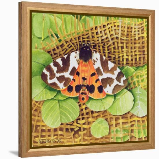 Tiger Moth, 1999-E.B. Watts-Framed Premier Image Canvas