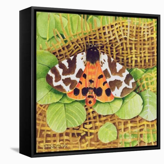 Tiger Moth, 1999-E.B. Watts-Framed Premier Image Canvas