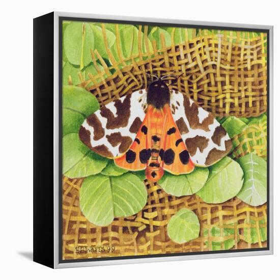 Tiger Moth, 1999-E.B. Watts-Framed Premier Image Canvas