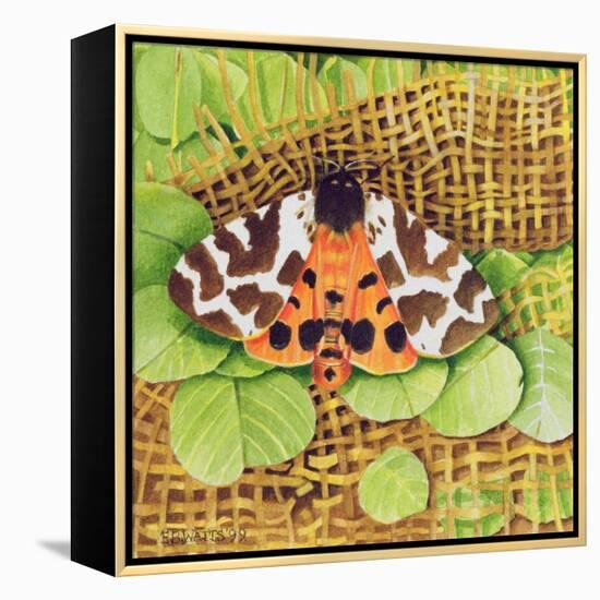 Tiger Moth, 1999-E.B. Watts-Framed Premier Image Canvas