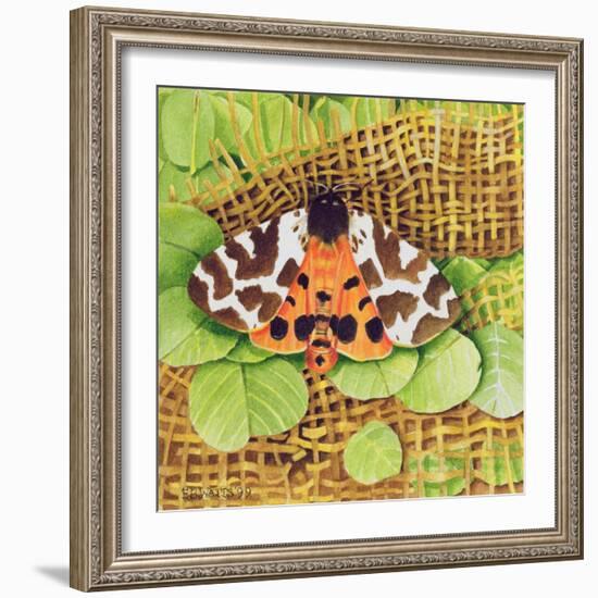 Tiger Moth, 1999-E.B. Watts-Framed Giclee Print