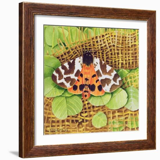 Tiger Moth, 1999-E.B. Watts-Framed Giclee Print