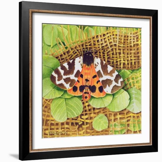 Tiger Moth, 1999-E.B. Watts-Framed Giclee Print