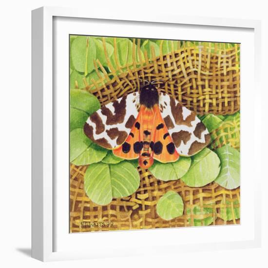 Tiger Moth, 1999-E.B. Watts-Framed Giclee Print