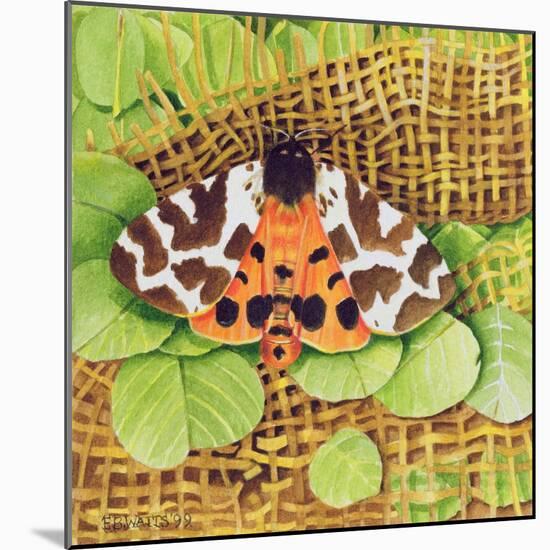 Tiger Moth, 1999-E.B. Watts-Mounted Giclee Print