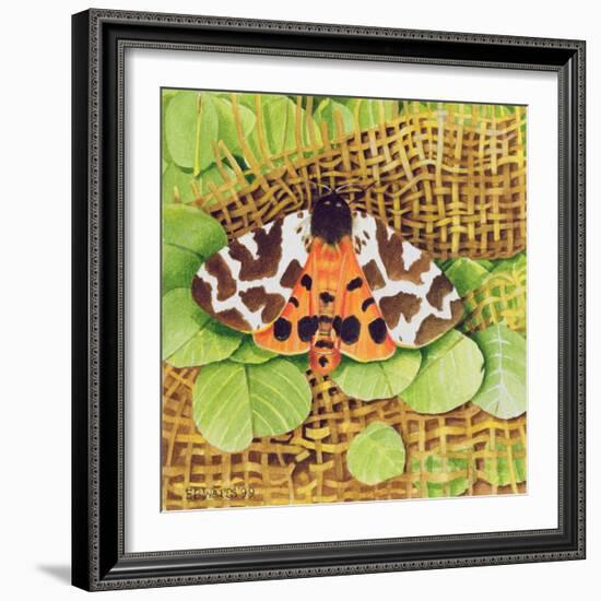 Tiger Moth, 1999-E.B. Watts-Framed Giclee Print