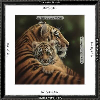Tiger Mother And Cub Cherished Art Print Collin Bogle Art Com