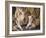 Tiger Mother & Baby-sylvia pimental-Framed Art Print