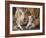 Tiger Mother & Baby-sylvia pimental-Framed Art Print