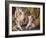 Tiger Mother & Baby-sylvia pimental-Framed Art Print