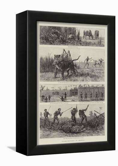 Tiger-Netting in Bengal-null-Framed Giclee Print