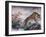 Tiger Painting on Outdoor Corridors, Zhongshan Park, Beijing, China-Adam Jones-Framed Photographic Print