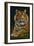 Tiger - Paper Mosaic-Lantern Press-Framed Art Print