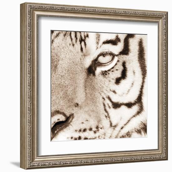 Tiger Pattern-Frank & Susann Parker-Framed Art Print