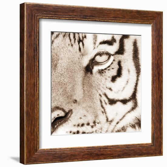 Tiger Pattern-Frank & Susann Parker-Framed Art Print