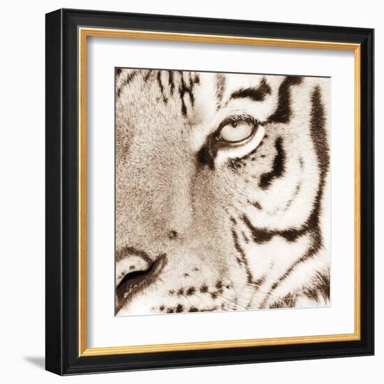 Tiger Pattern-Frank & Susann Parker-Framed Art Print