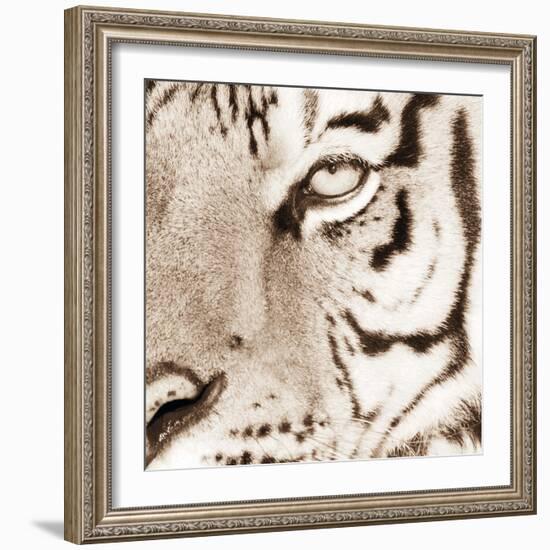 Tiger Pattern-Frank & Susann Parker-Framed Art Print