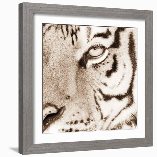 Tiger Pattern-Frank & Susann Parker-Framed Art Print