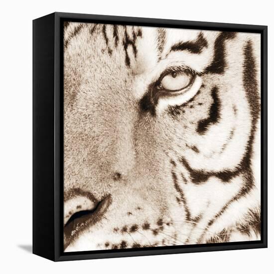 Tiger Pattern-Frank & Susann Parker-Framed Stretched Canvas