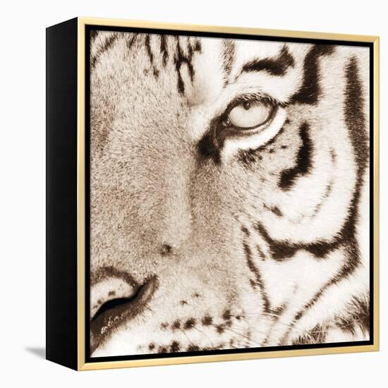 Tiger Pattern-Frank & Susann Parker-Framed Stretched Canvas
