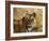 Tiger Portrait, Bandhavgarh National Park, India-Tony Heald-Framed Photographic Print