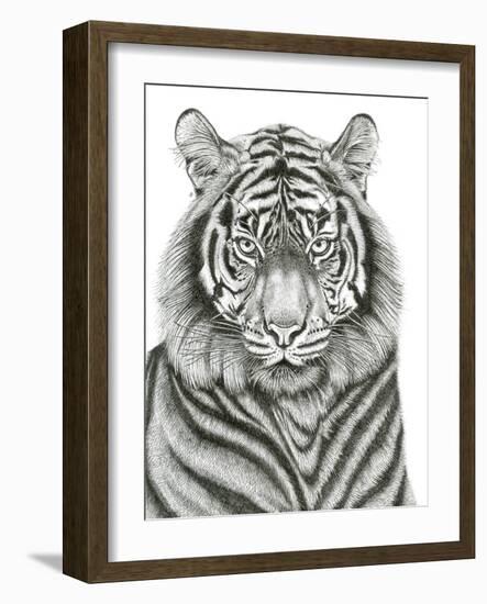 Tiger Portrait-Lucy Francis-Framed Giclee Print