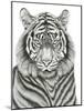 Tiger Portrait-Lucy Francis-Mounted Giclee Print