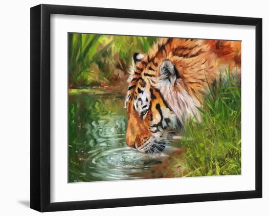 Tiger quenching thirst-David Stribbling-Framed Art Print