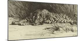 Tiger Resting-Herbert Dicksee-Mounted Giclee Print
