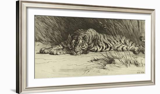 Tiger Resting-Herbert Dicksee-Framed Giclee Print