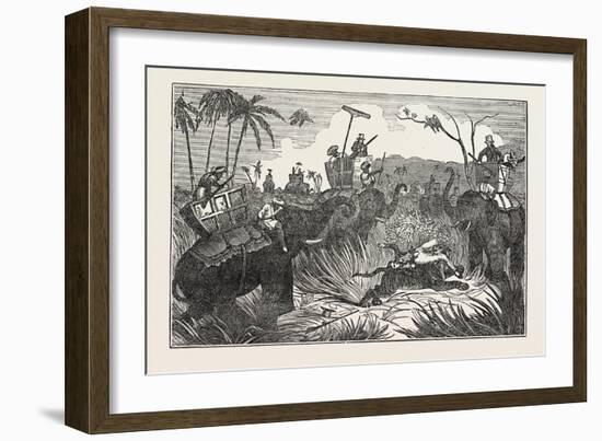 Tiger Retreating into the Jungle-null-Framed Giclee Print