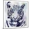 Tiger Roar-Sheldon Lewis-Mounted Art Print