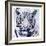 Tiger Roar-Sheldon Lewis-Framed Art Print