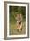 Tiger Run-Susann Parker-Framed Photographic Print