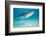 tiger shark swimming over sandy seabed, bahamas-david fleetham-Framed Photographic Print