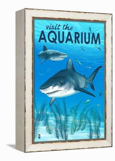 Tiger Shark - Visit the Aquarium-Lantern Press-Framed Stretched Canvas