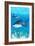 Tiger Shark-Lantern Press-Framed Art Print