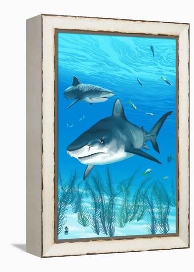 Tiger Shark-Lantern Press-Framed Stretched Canvas